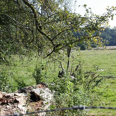 Holiday home Le Repere Du Cerf Herbeumont