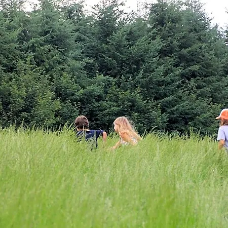 Le Repere Du Cerf Vakantiehuis Herbeumont